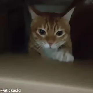 😂
