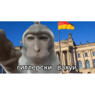 🐵
