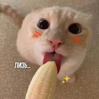 🍌
