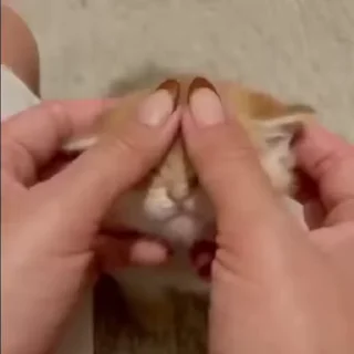 🥰