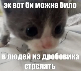 😡