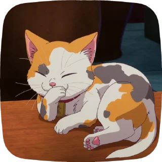 🐱
