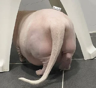 😝