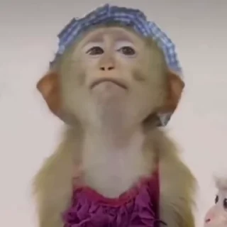 😒