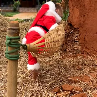 🙉