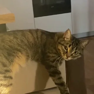 🙂