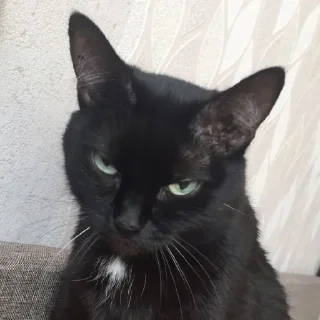 😠