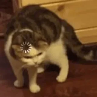 😴