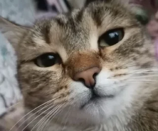 😐