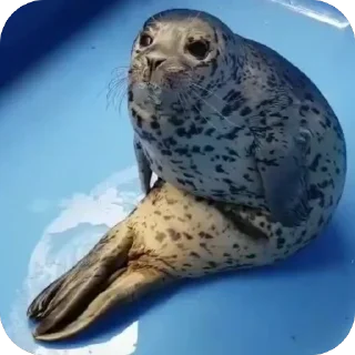 ❤