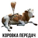 🐮