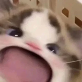 😦