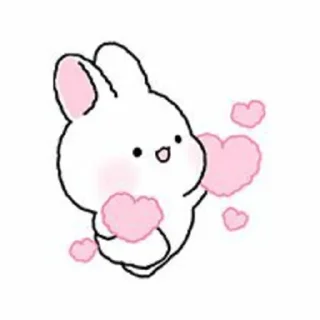 🐇
