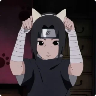 🐱