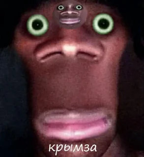 😵