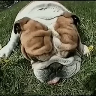 😴