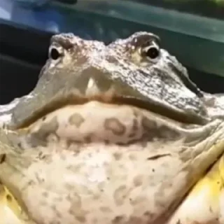 😤
