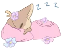 💤