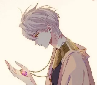🌟