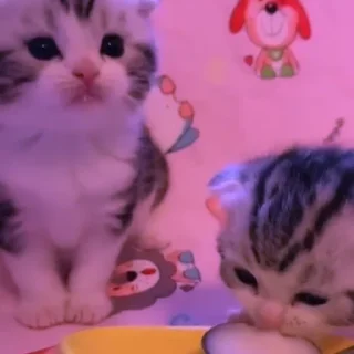 💜