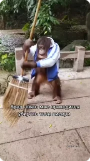 🧹