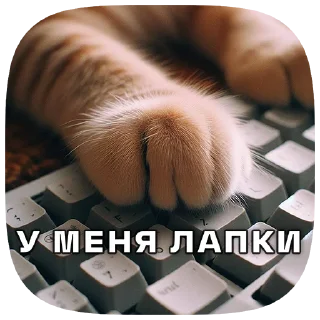 🐾