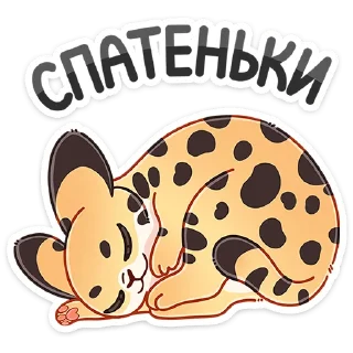 😴