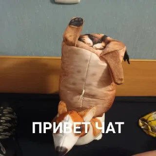 👋