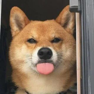 💓