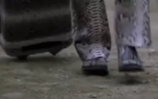 🚶‍♂