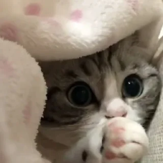 🥰
