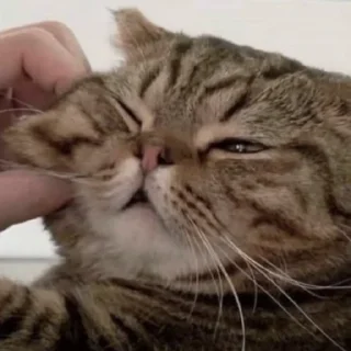 😬