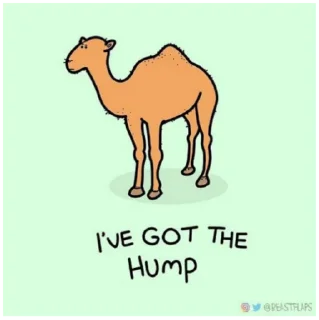 🐫