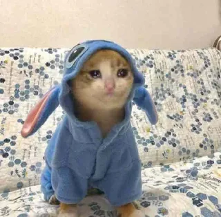 😭