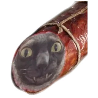 🥩