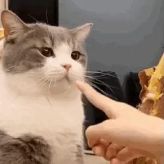 👈