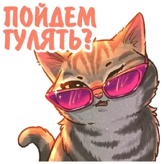😎