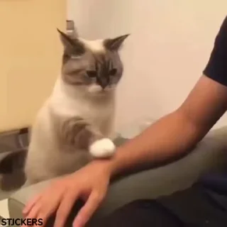 🥺