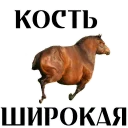 😂