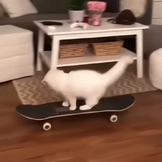 🛹