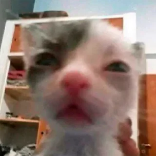 😒