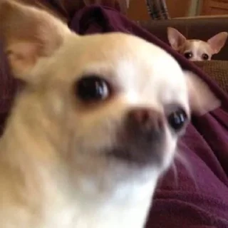 😳
