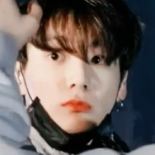🐰