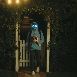 👤