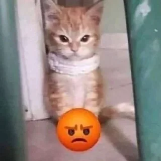😡