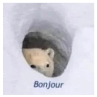 👋