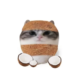 🥥