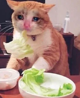 😭