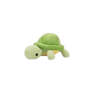 🐢