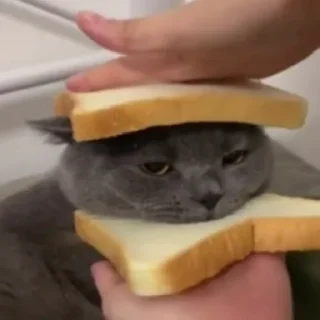 🍞